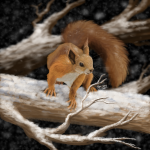 Winter red squirrel, digital painting.