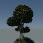 Stylised tree - turn table https://cdn-animation.artstation.com/p/video_sources/000/296/705/flufftreeturntable.mp4