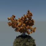 Geometry tree - autumnal