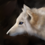 Study of the wolf - digital painting