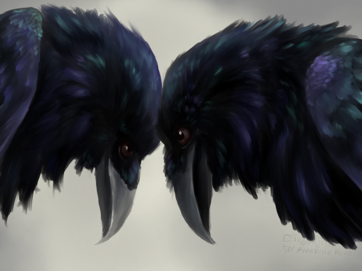 Ravens love - digital painting