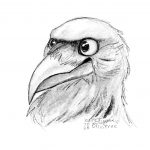 oplosophercrow - digital sketch